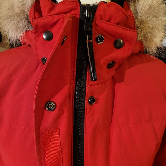 Jacket - Picture 10 of 13